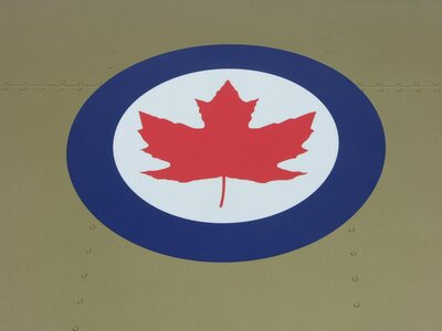 Roundel on Wing - Photo by Ron MacEwen