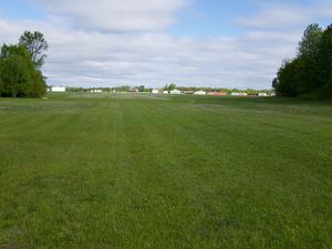 Looking north down the grass runway