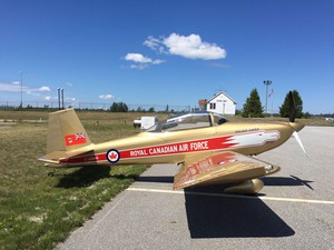 On the ground at Gore Bay