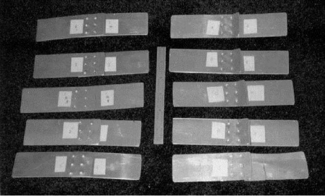 All ten coupons